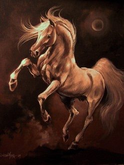 Gabriel-Tora-Arabian horse