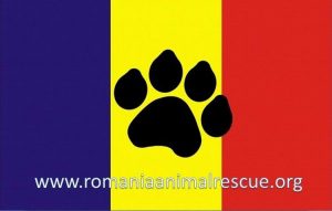 Romania Animal Rescue-sigla